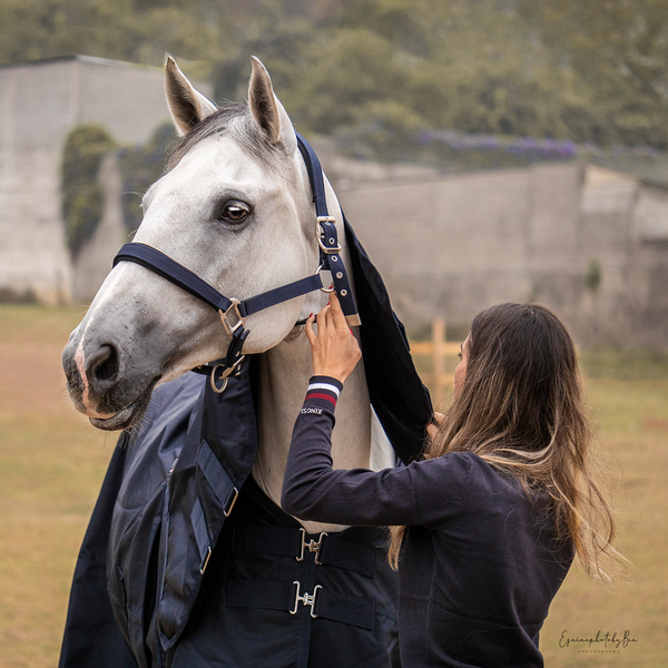 Kingsland Classic Halter with Rope