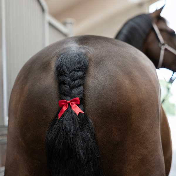 KLHadleigh Red Bow