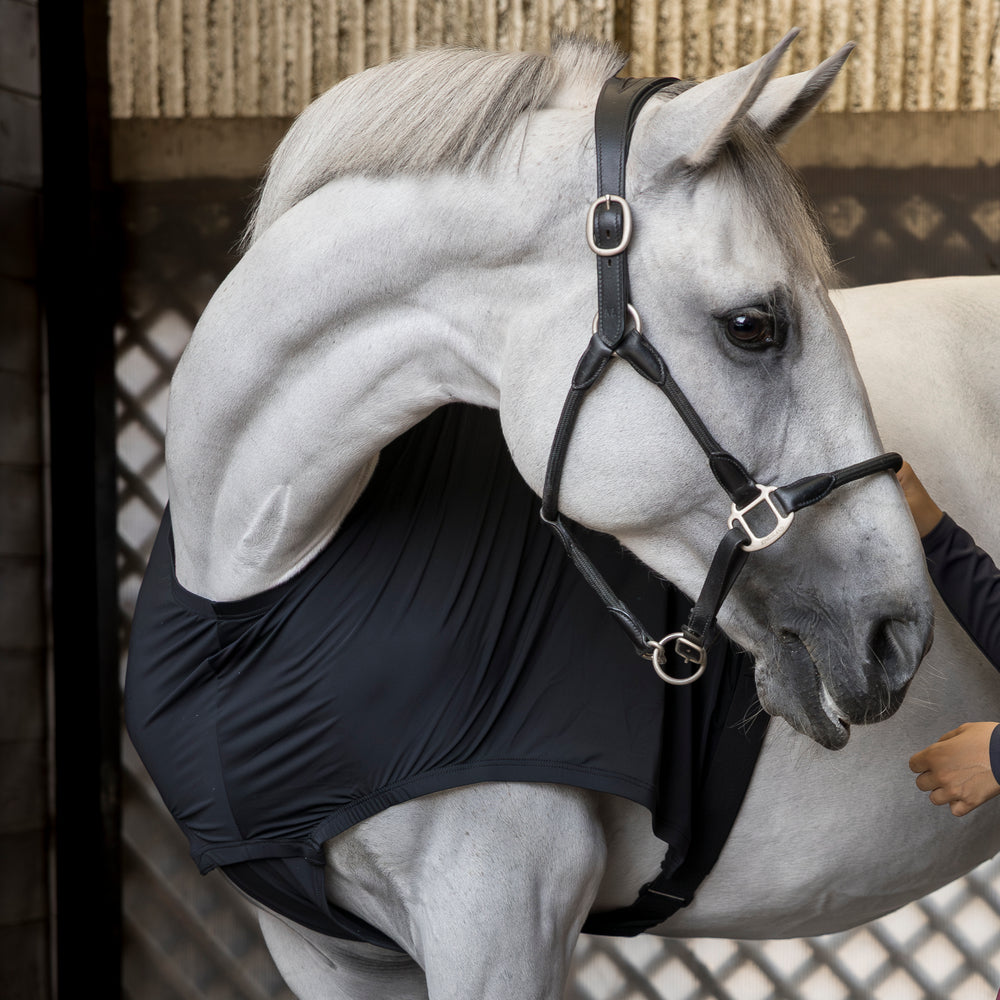 KLMitzi Mane And Shoulder Protector