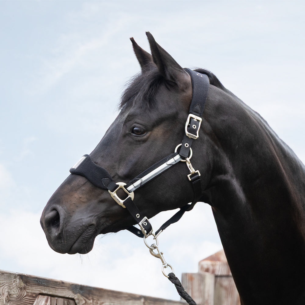 Classic Halter with Fleece
