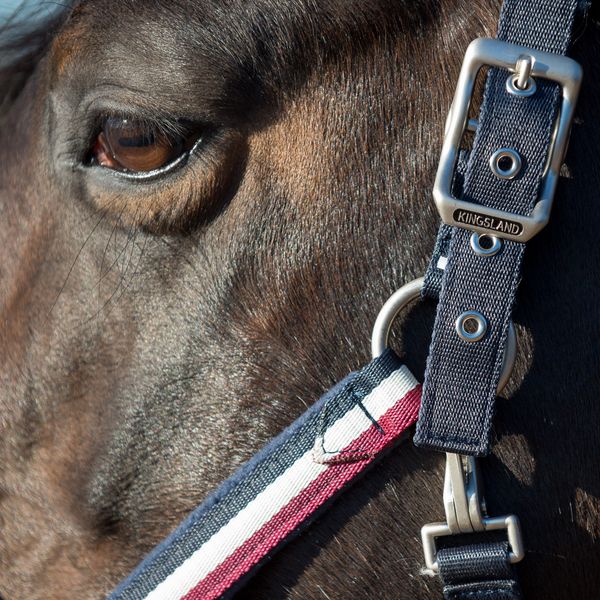 Classic Halter with Fleece