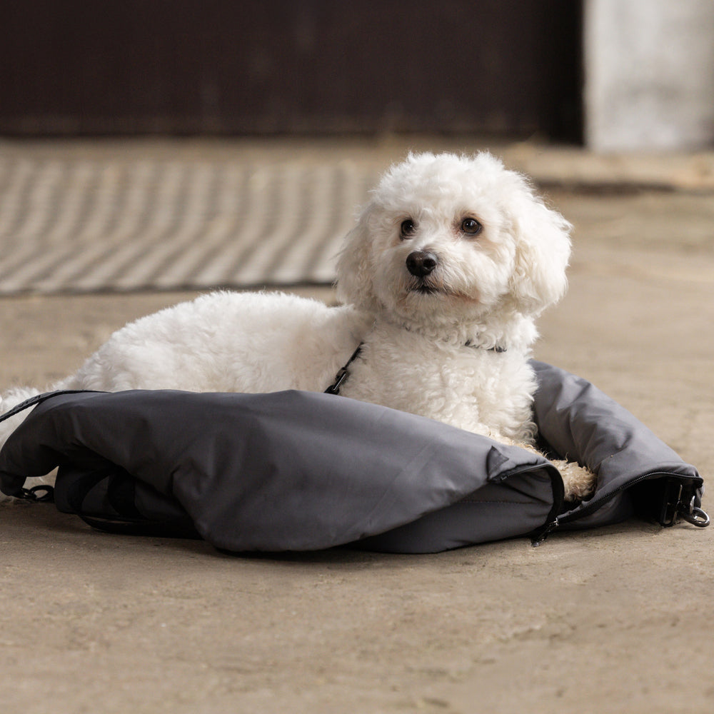 KLMacey Dog Blanket Bag
