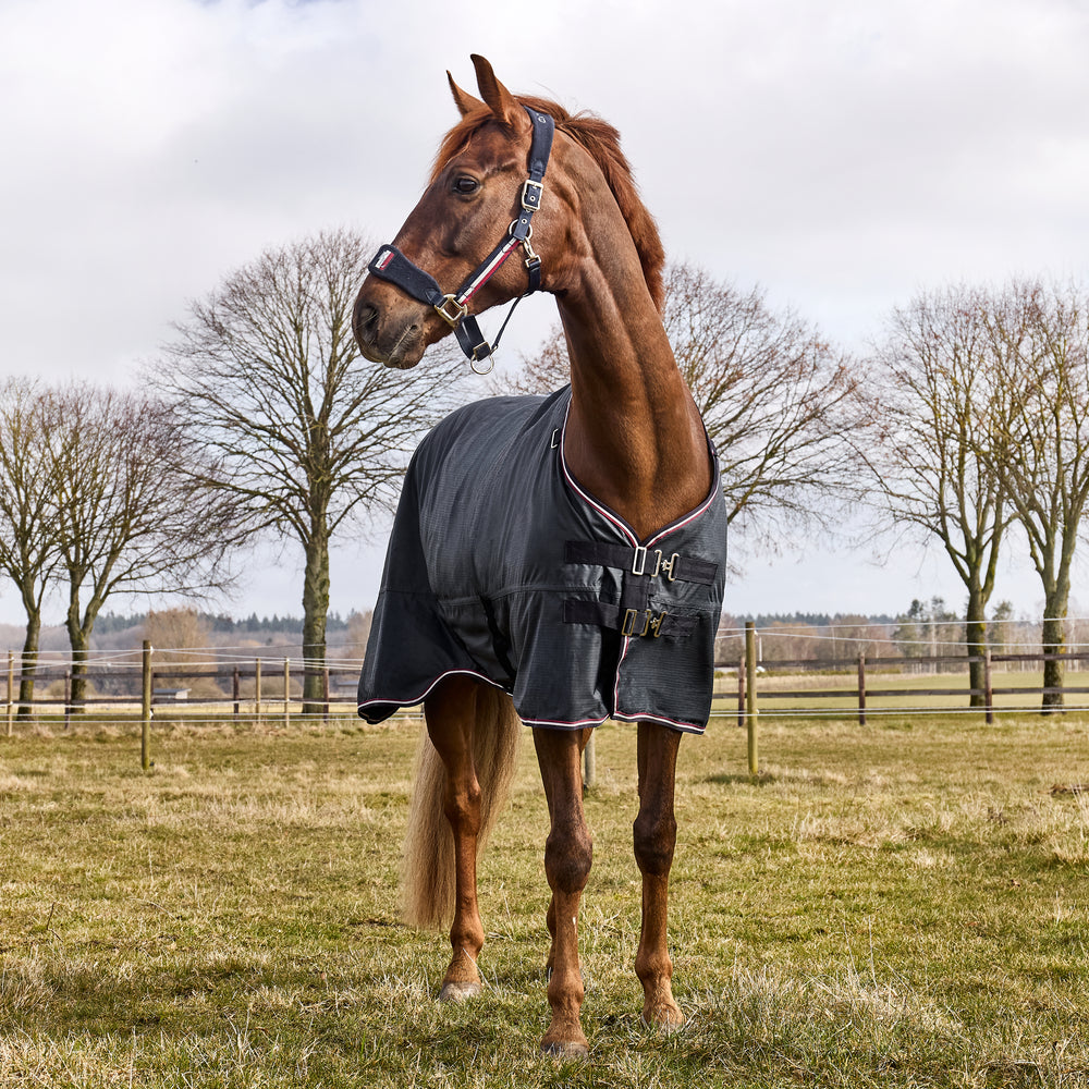 Classic Primary Turnout Rug with Detachable Neck, 0g