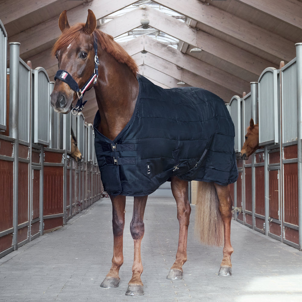 Classic Primary Stable Rug, 400g