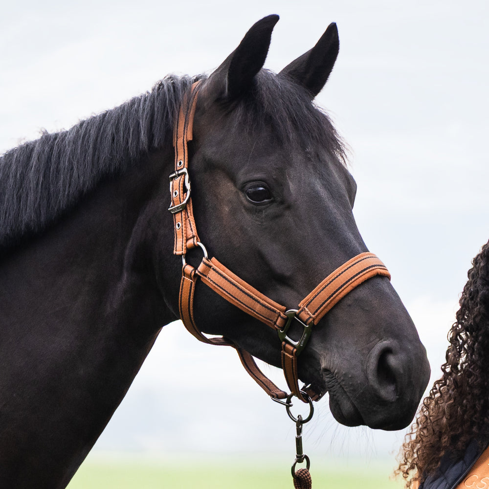 KLMona Halter And Rope