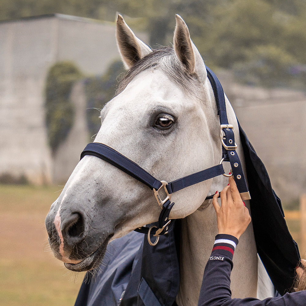 Kingsland Classic Halter with Rope