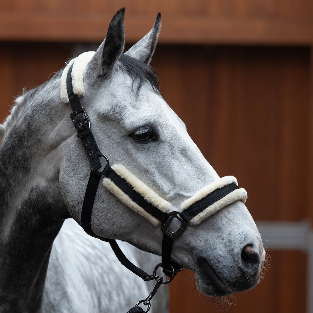 KLLexie Faux Fur Halter And Rope