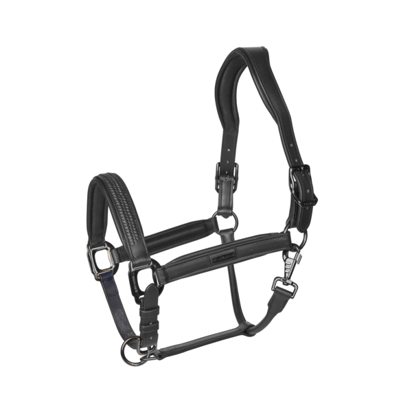 KLNeville Leather Halter
