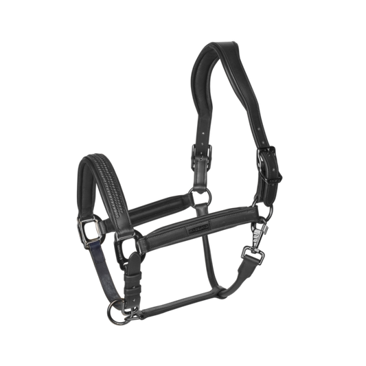 KLNeville Leather Halter