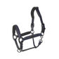 KLNeville Leather Halter
