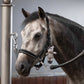 KLMonty Knitted Horse Teddy