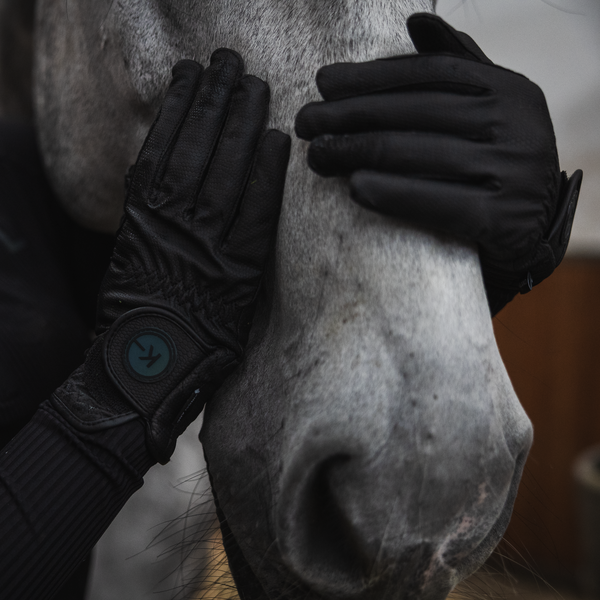 Best horse riding gloves online for winter