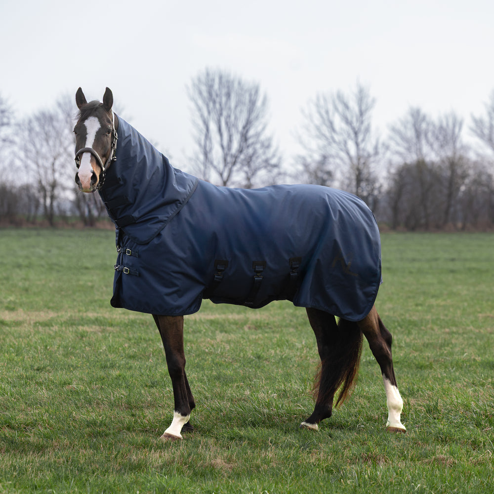 KLMindy Turnout Rug