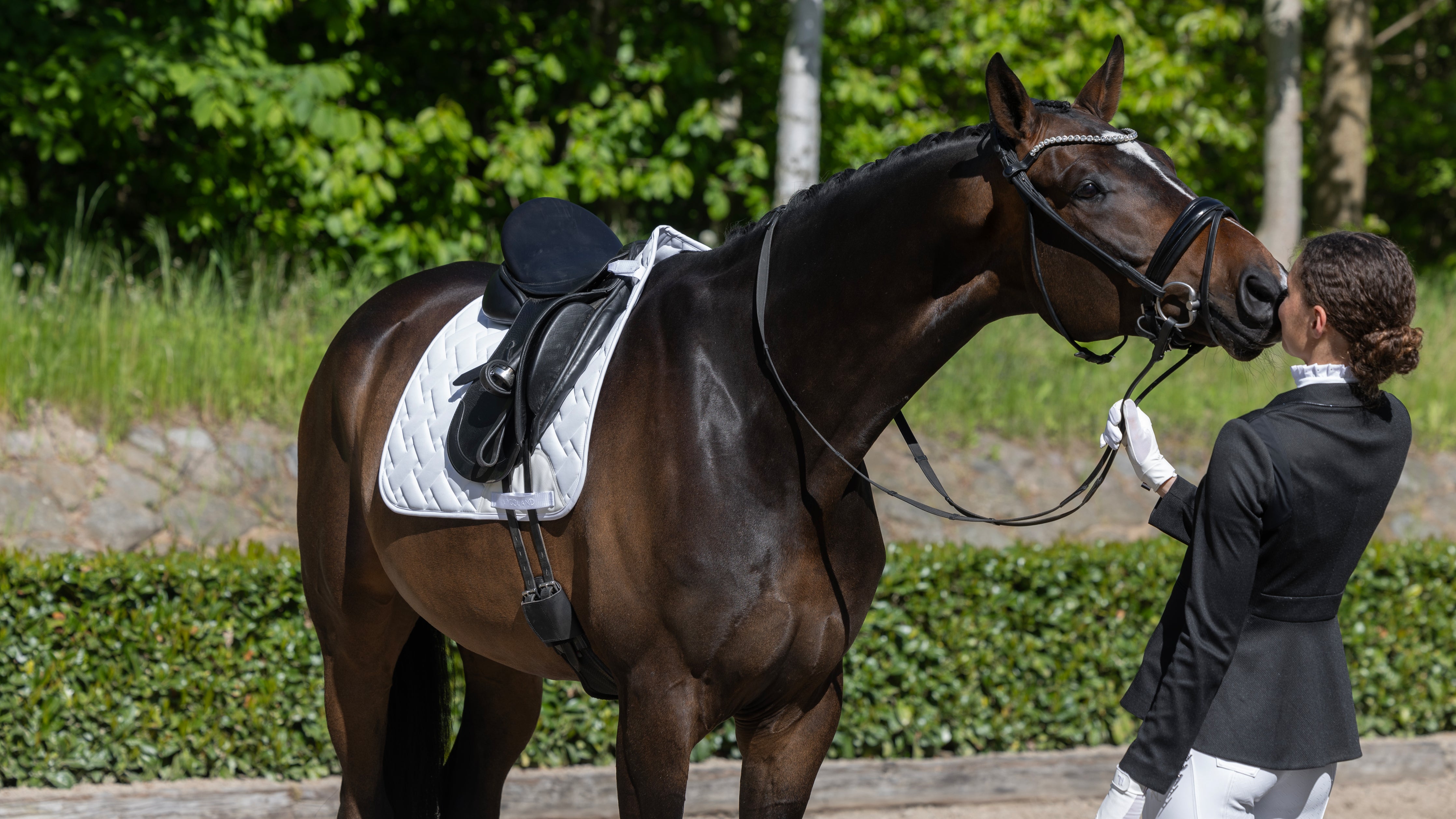 Kingsland Equestrian - official webshop Kingsland Equestrian - official webshop