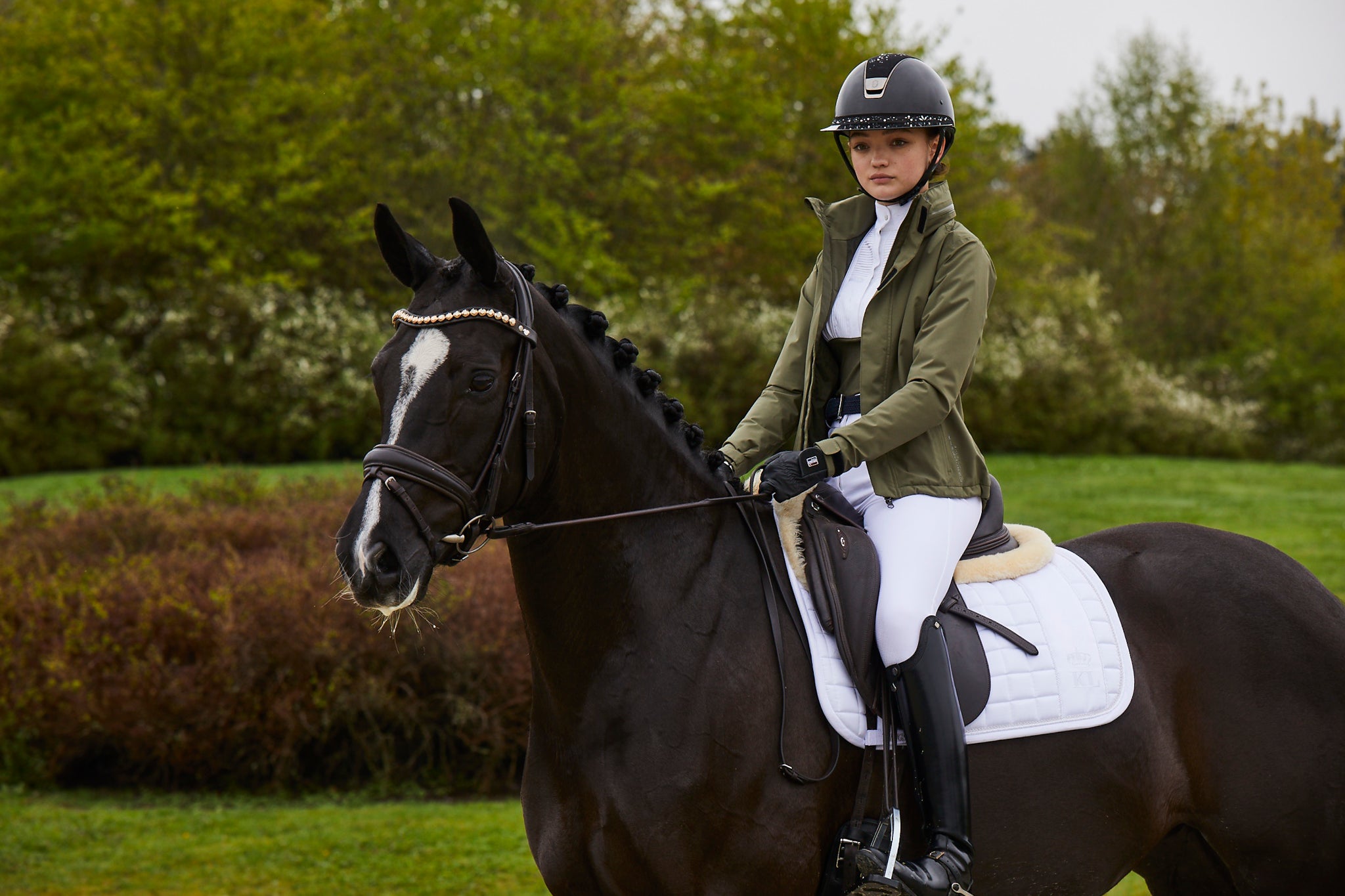 Care Guide – Kingsland Equestrian
