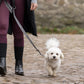 KLMacey Dog Collar & Leash
