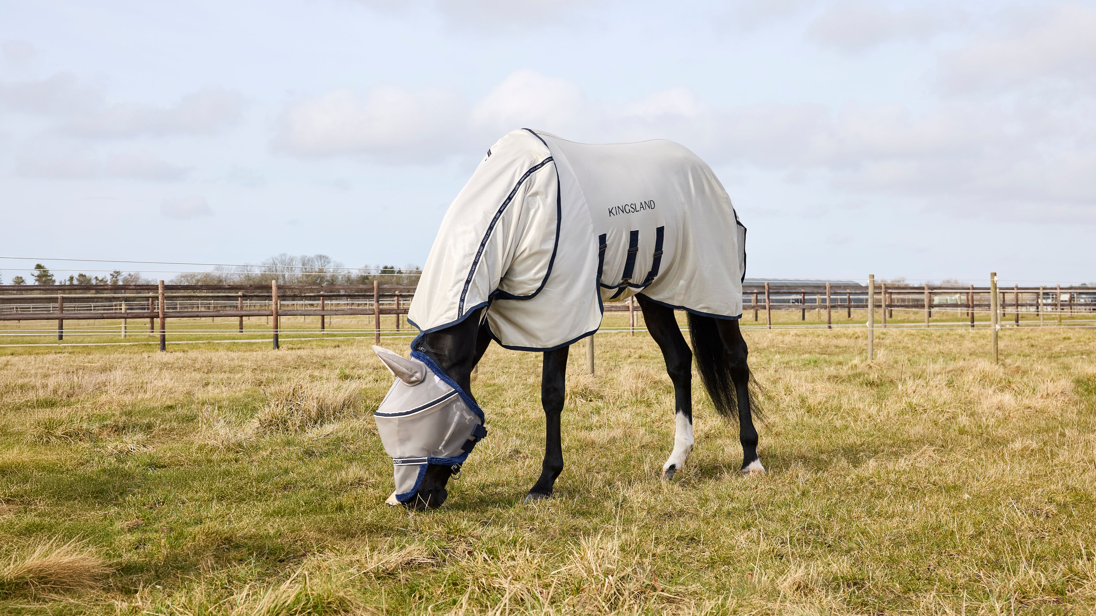 Kingsland Pantalon d'Équitation Kadi E-Tec Knee-Grip Femmes Gris Kingsland Pantalon d'Équitation Kadi E-Tec Knee-Grip Femmes Gris