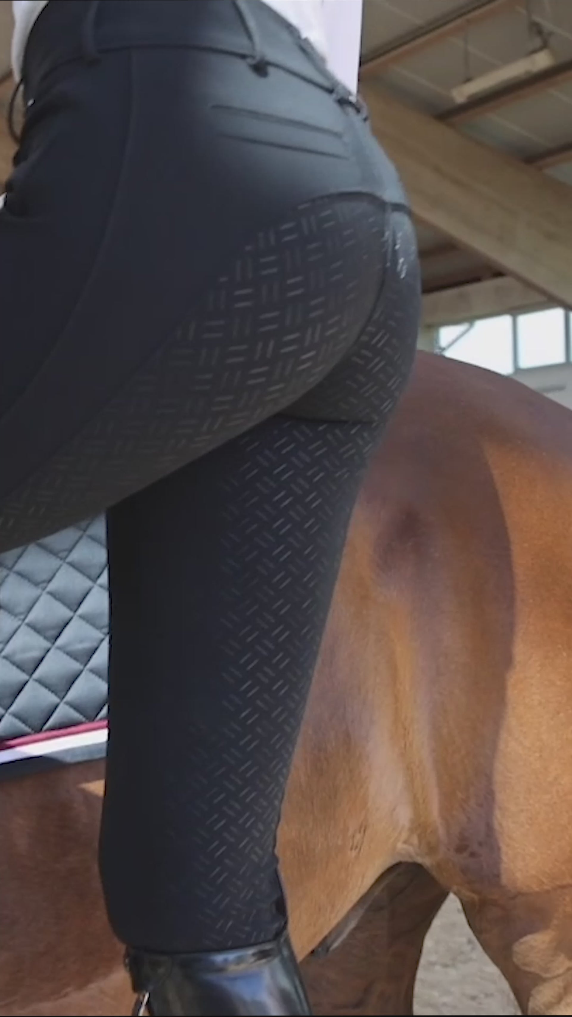 Mini chaps équitation enfants | Kaufen auf