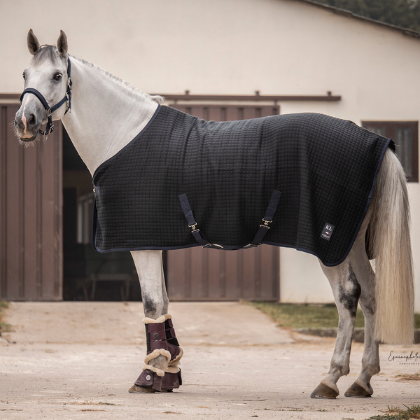 Classic Evolution Wool Transport/Stable Rug