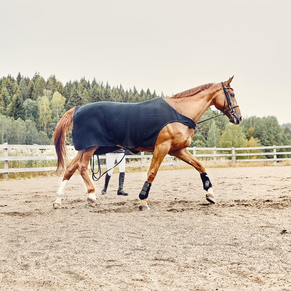 Classic Evolution Wool Walker/Lunging Rug
