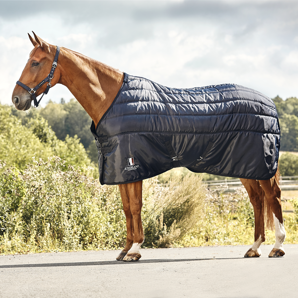 Classic Primary Stable Rug, 200g